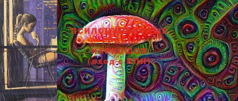 дарнет шоп  Красный Холм  Галлюциногенные грибы Magic Shrooms 